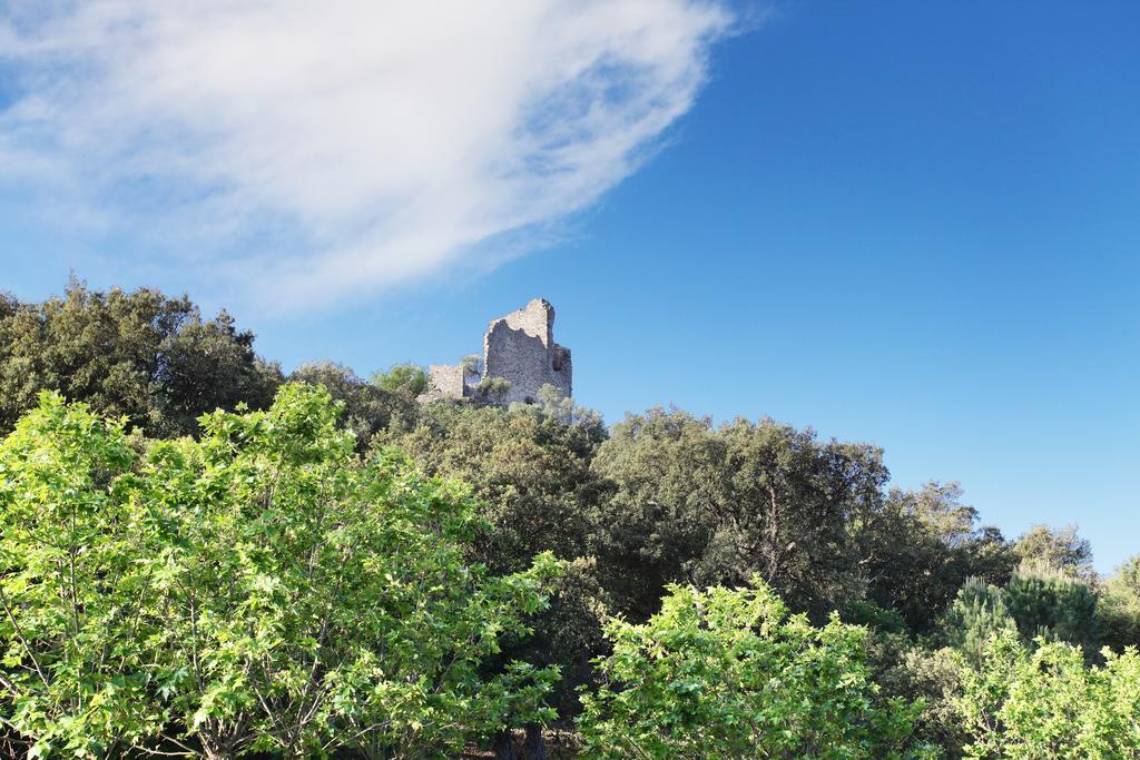 Residence Odalys La Palmeraie 格里莫 外观 照片